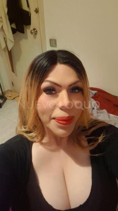 NuevoLoquo1