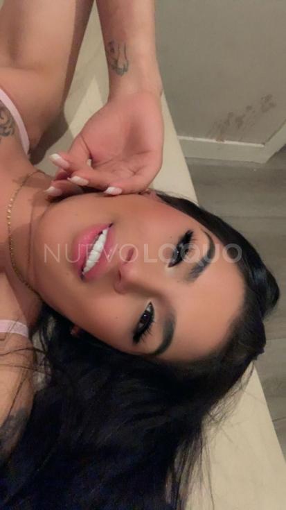 NuevoLoquo3