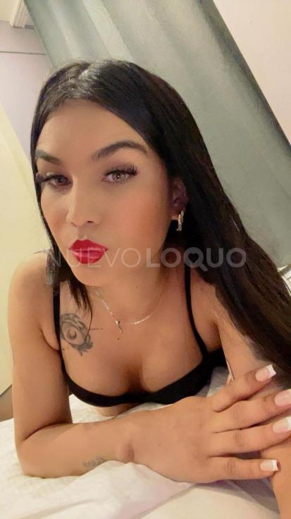 NuevoLoquo4