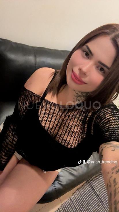 NuevoLoquo2