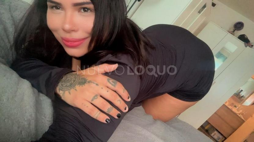 NuevoLoquo3