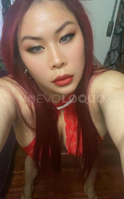 NuevoLoquo2