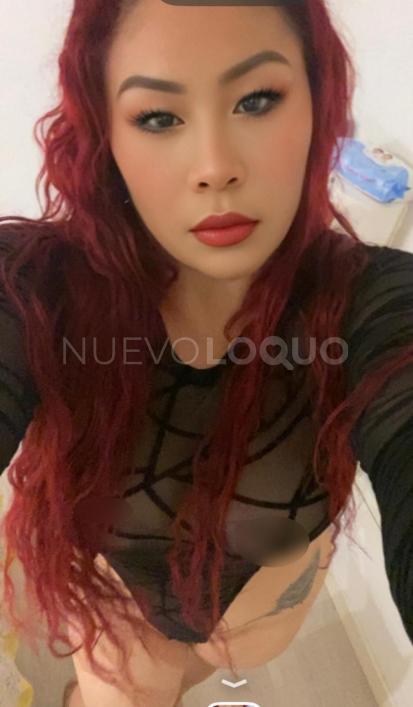  novedad en Lloret de mar