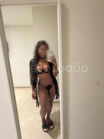 NuevoLoquo4