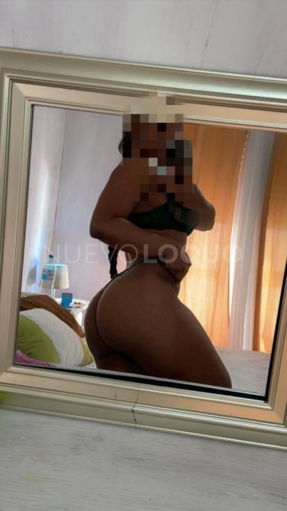 NuevoLoquo3
