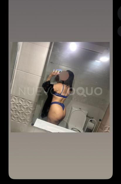 NuevoLoquo3