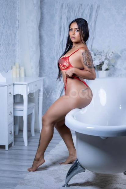 NuevoLoquo2