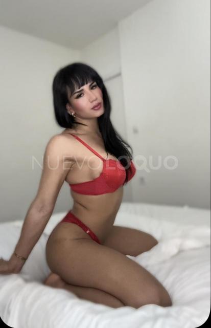 NuevoLoquo0