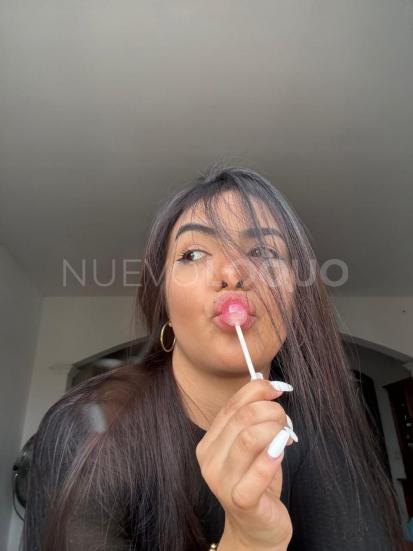NuevoLoquo2