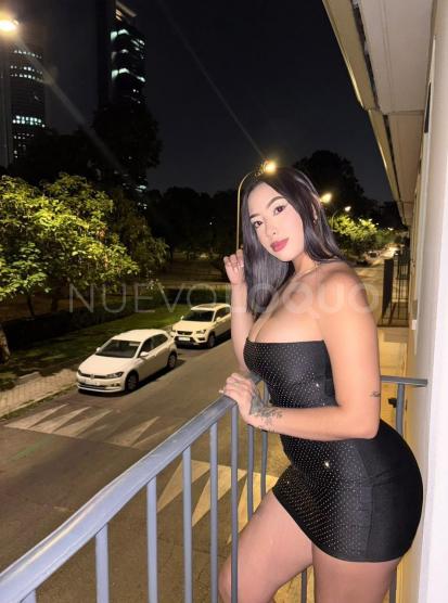 NuevoLoquo3