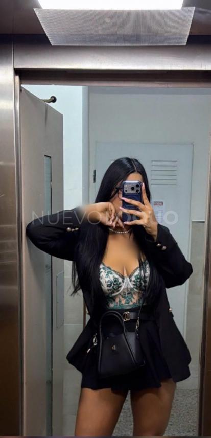 NuevoLoquo3