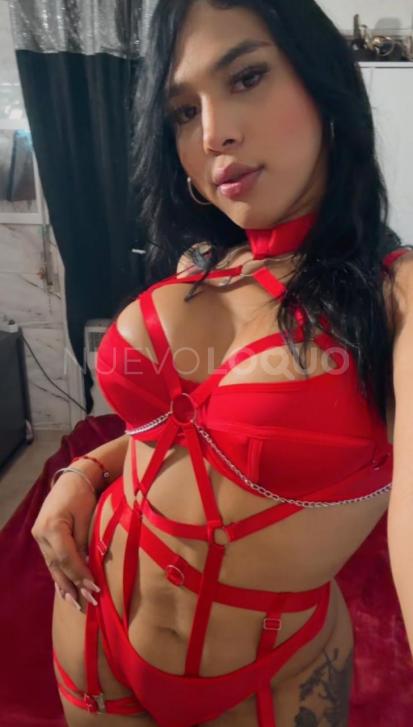 NuevoLoquo3