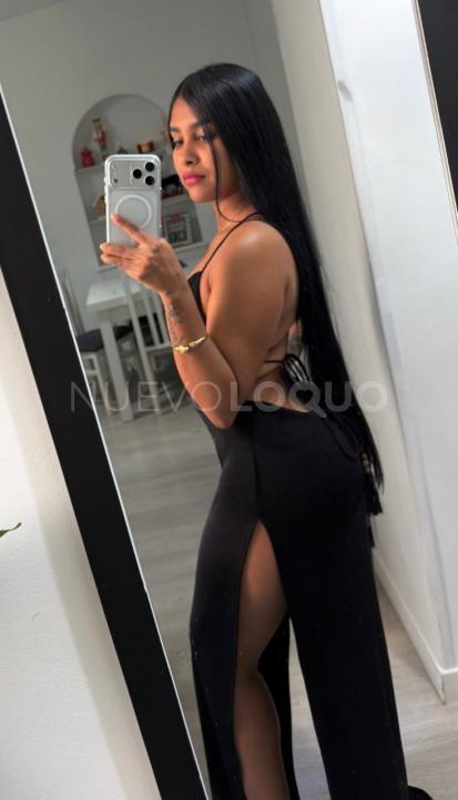 NuevoLoquo2