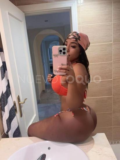 NuevoLoquo2