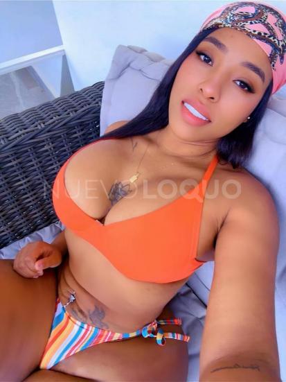 NuevoLoquo3