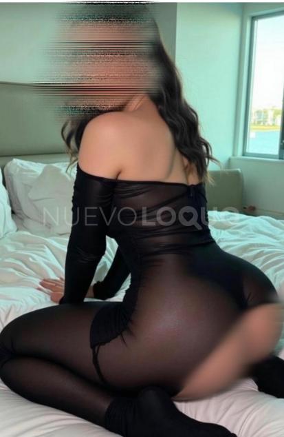 NuevoLoquo2