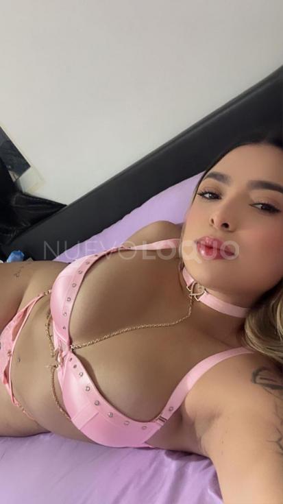 NuevoLoquo2