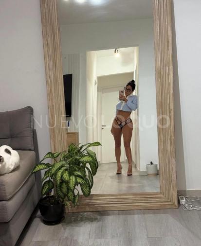 NuevoLoquo2