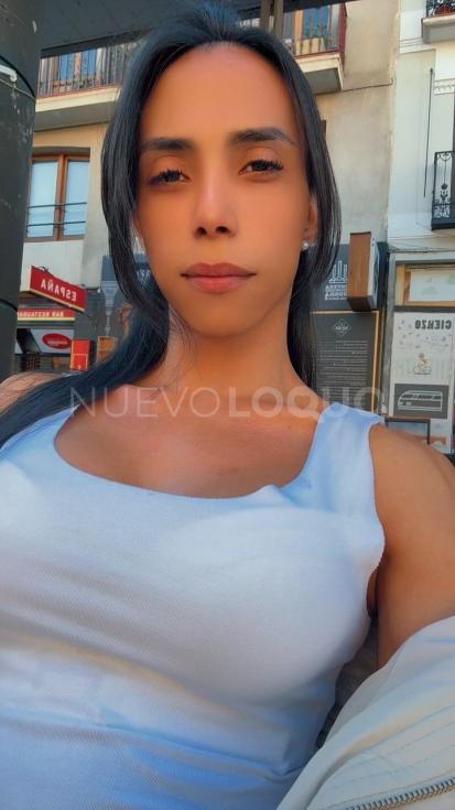 NuevoLoquo3