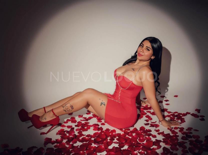 NuevoLoquo2