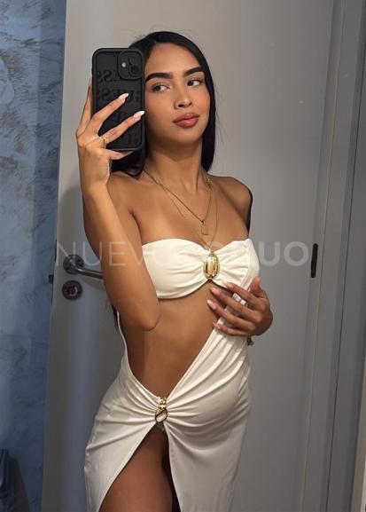 NuevoLoquo2