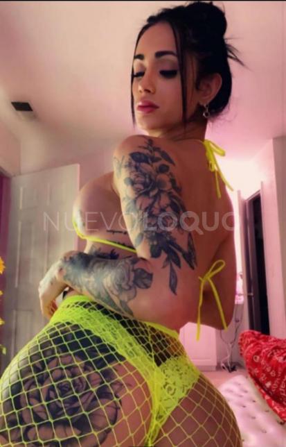 NuevoLoquo2