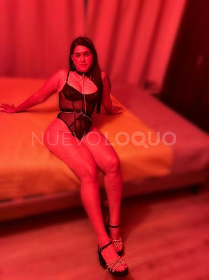 NuevoLoquo4