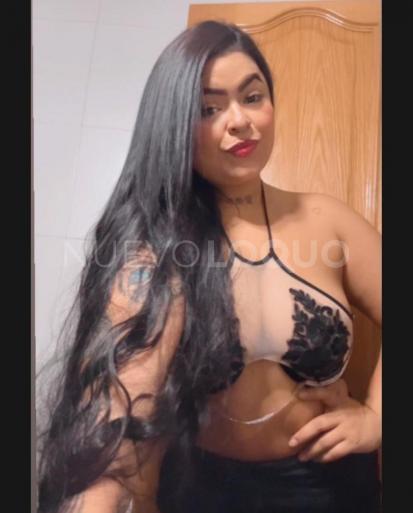 NuevoLoquo2