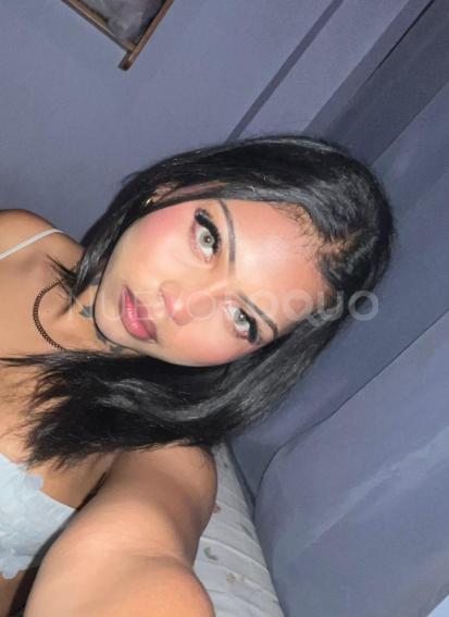 NuevoLoquo3