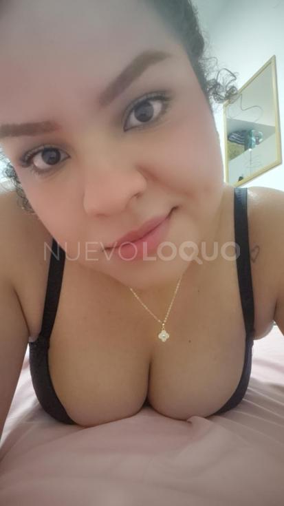 NuevoLoquo3