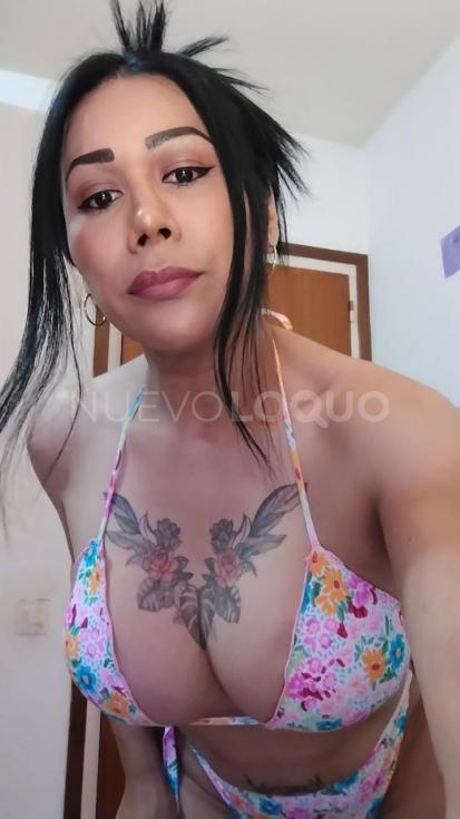 contactos pasion