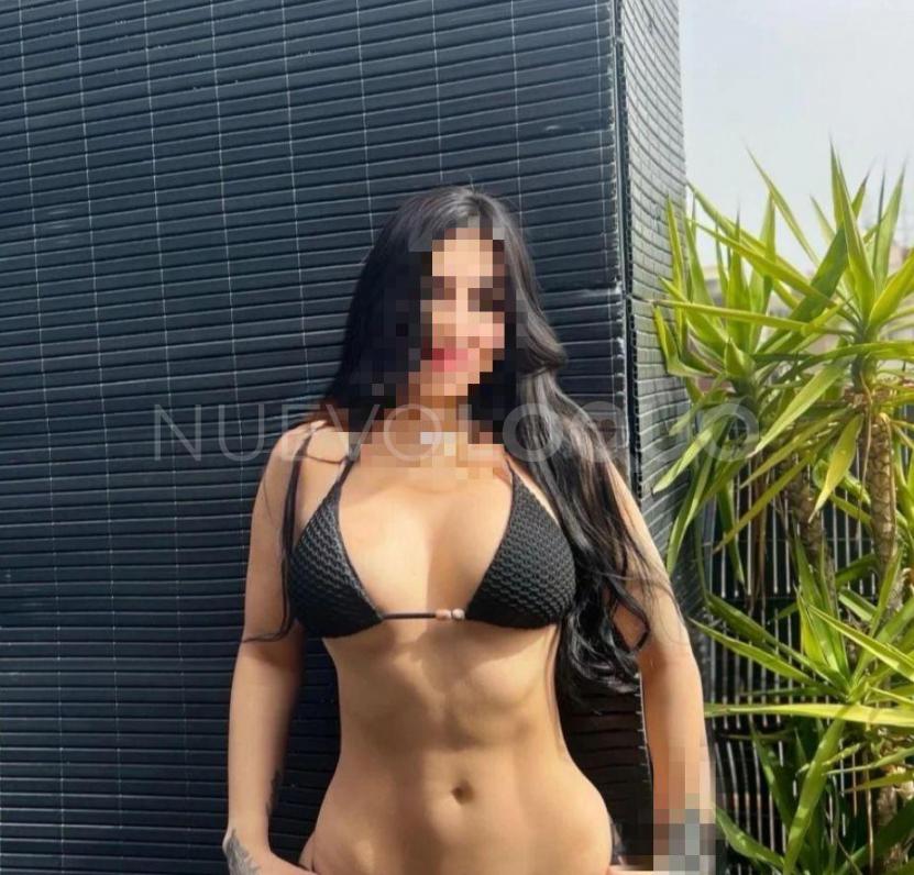 NuevoLoquo3