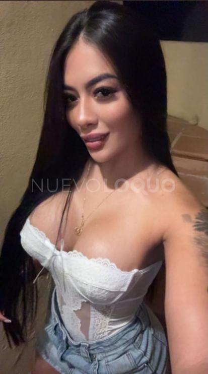 NuevoLoquo2