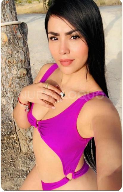 NuevoLoquo1