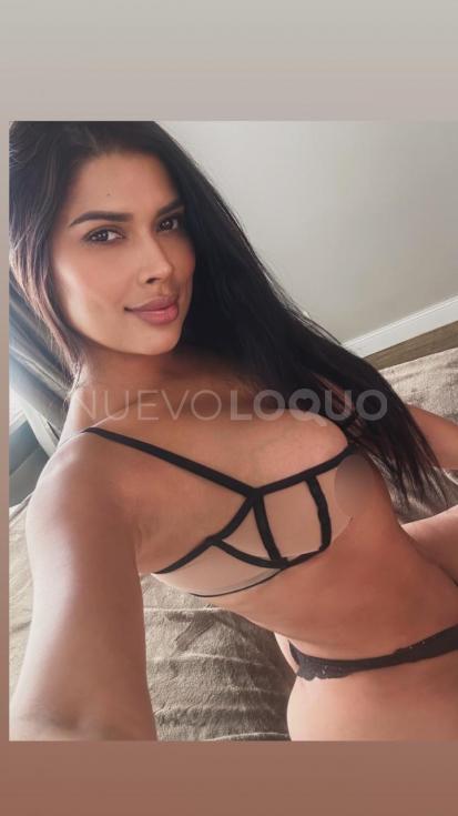 NuevoLoquo3