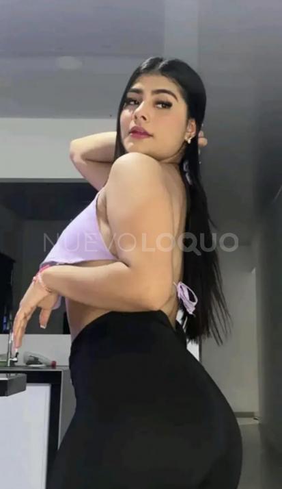 NuevoLoquo2