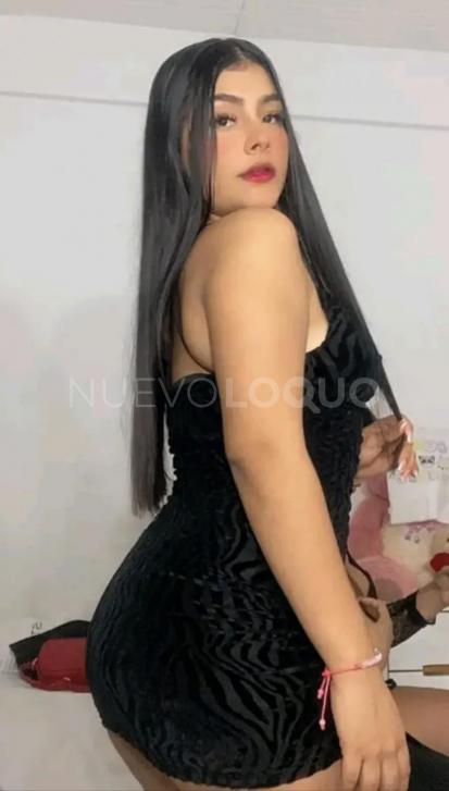 NuevoLoquo3