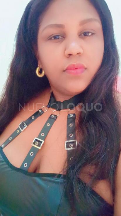 NuevoLoquo2