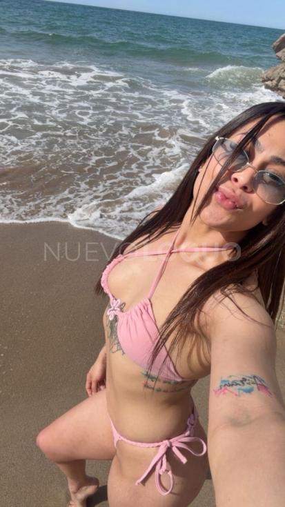 NuevoLoquo2