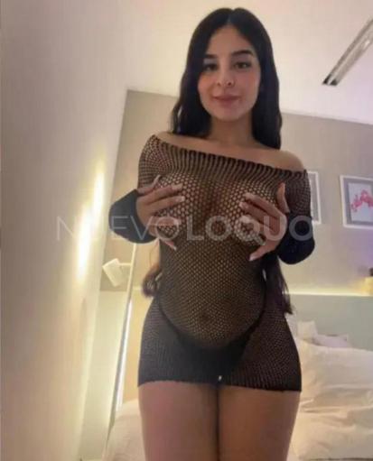 NuevoLoquo3