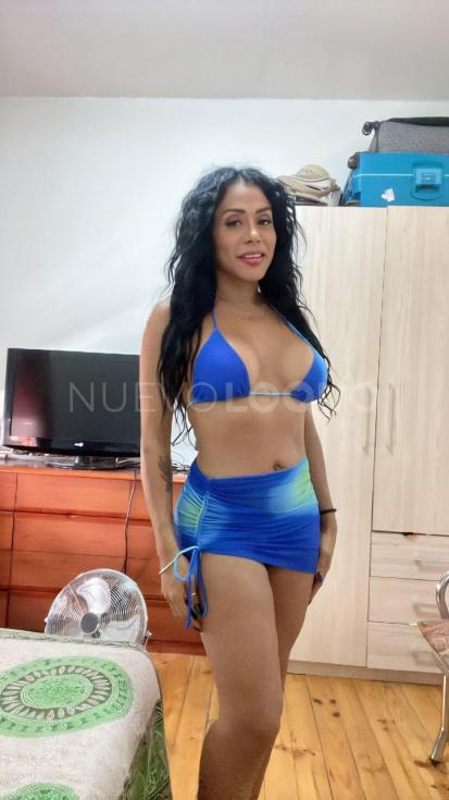 NuevoLoquo2