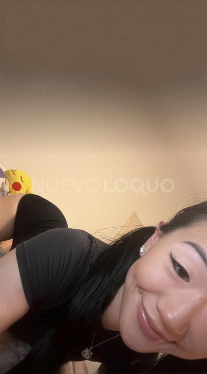 NuevoLoquo4