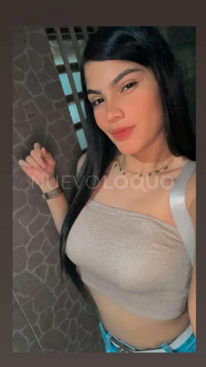 NuevoLoquo3