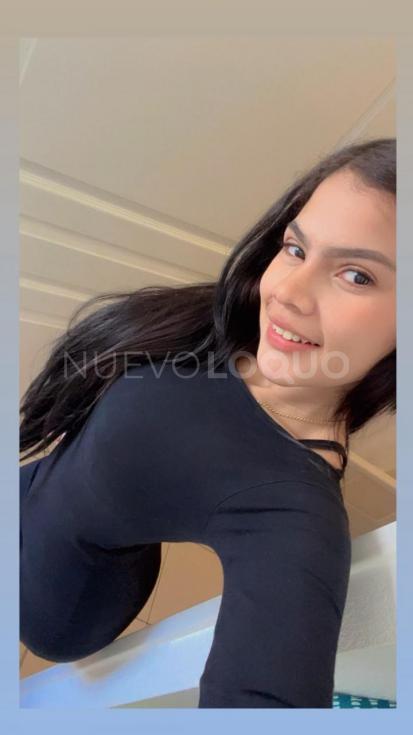 NuevoLoquo4