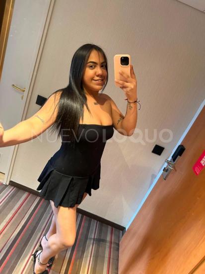 NuevoLoquo3