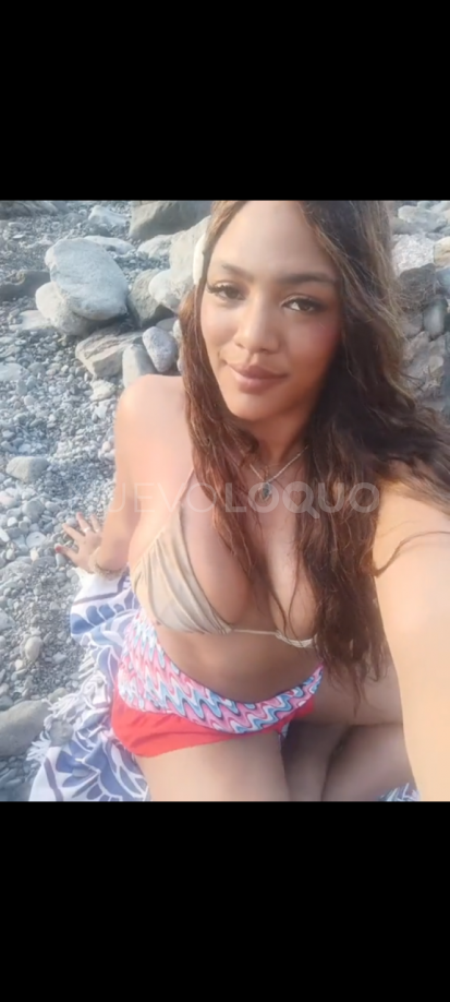NuevoLoquo3