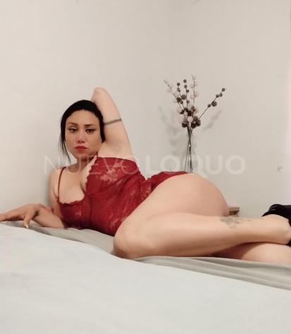 NuevoLoquo3