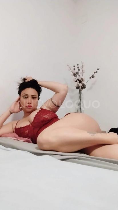 NuevoLoquo3