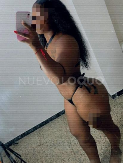 NuevoLoquo1