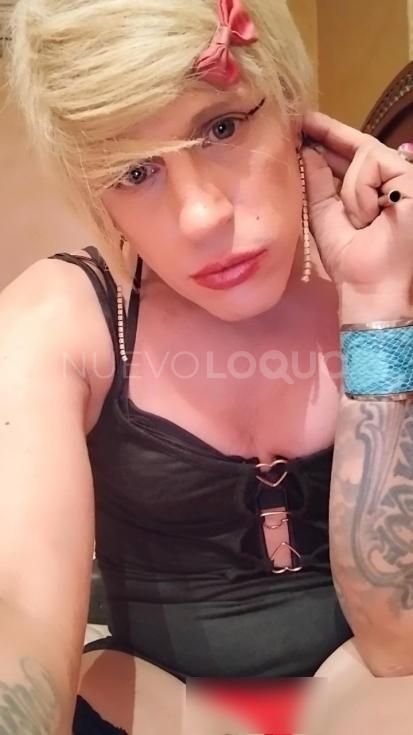 NuevoLoquo3